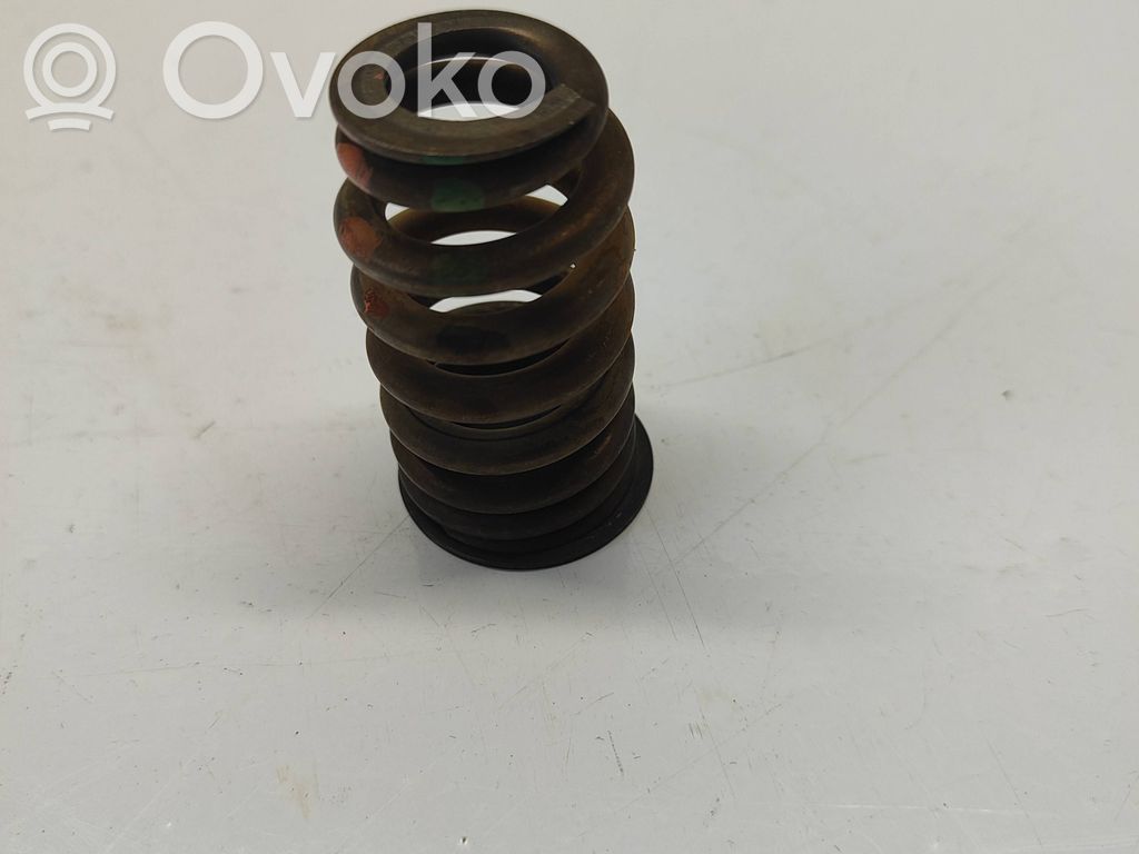 Dodge RAM Valve spring 