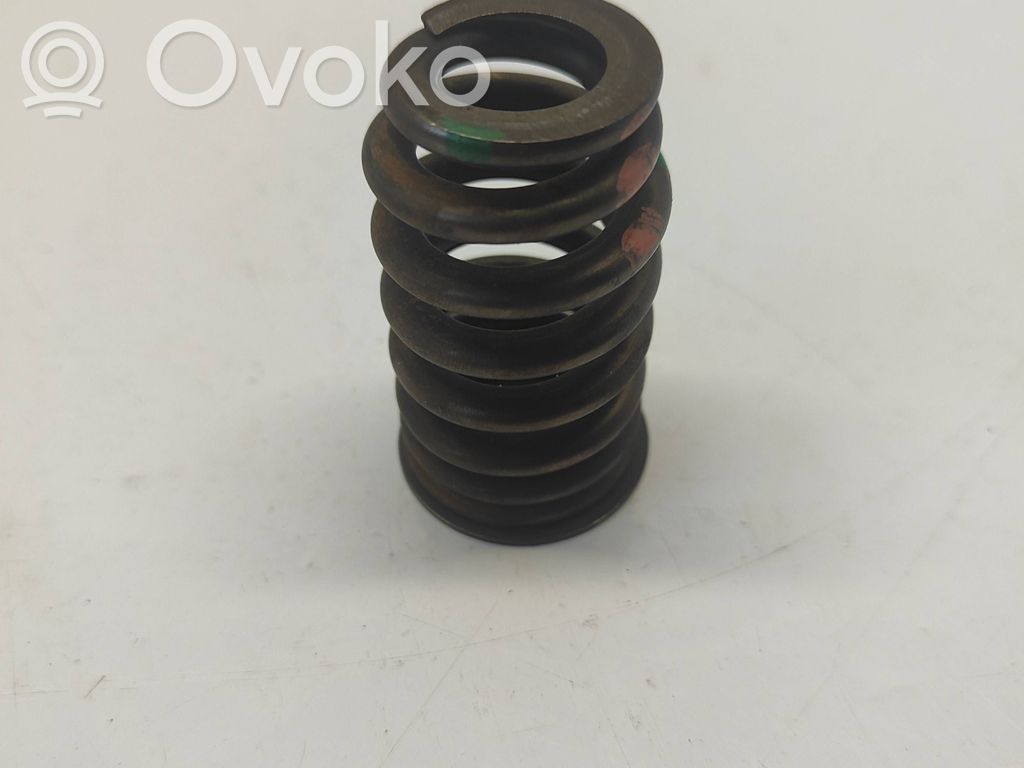Dodge RAM Valve spring 