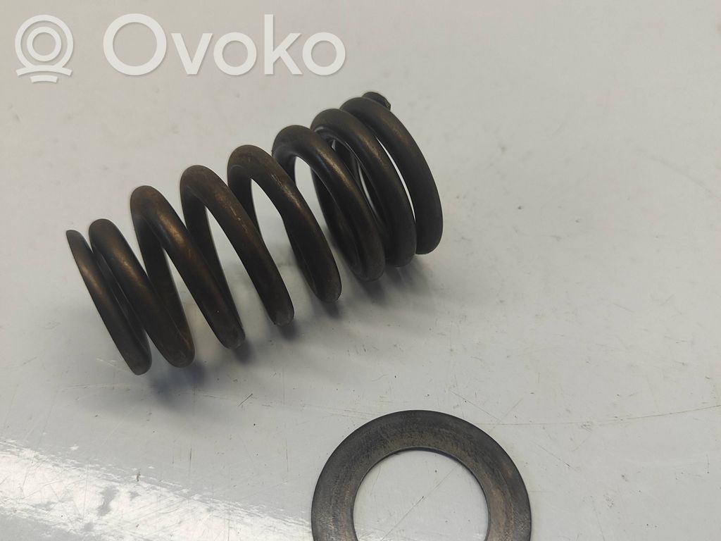 Dodge RAM Valve spring 
