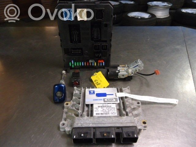 Injection control unit/module   9663548180,R0413C001E,28080465,9663548180,9663611480,R0413C001E