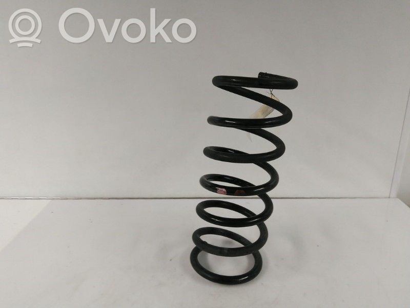 Rear coil spring