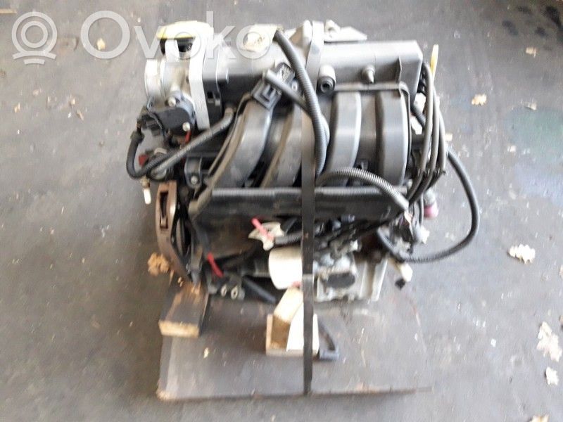 Motor