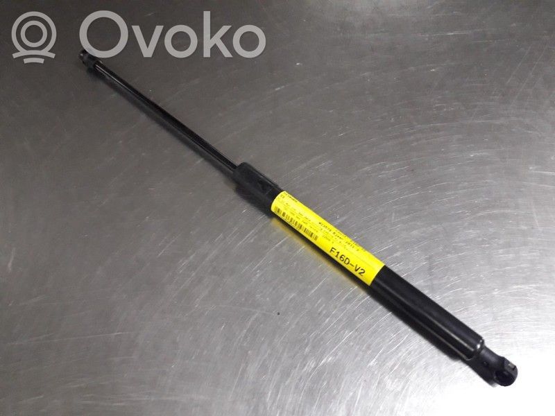 Tailgate/trunk strut/damper