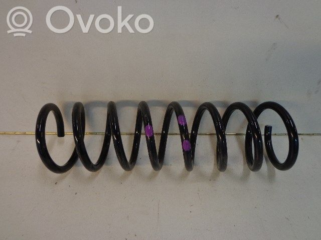 Muelle espiral trasero