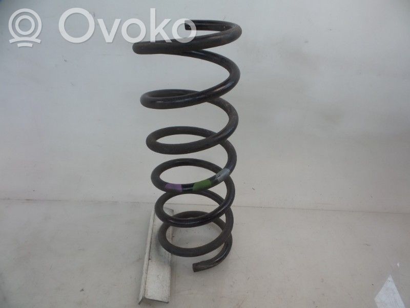 Rear coil spring