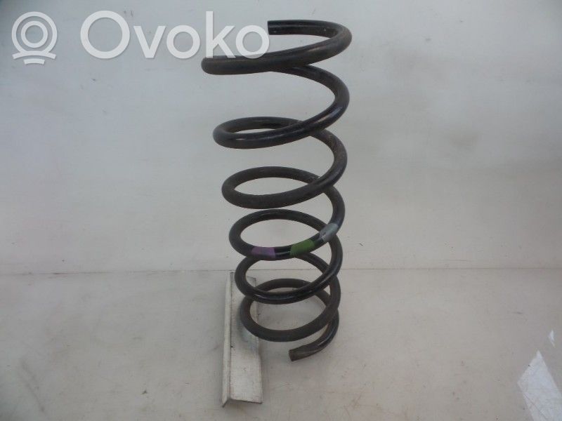 Rear coil spring