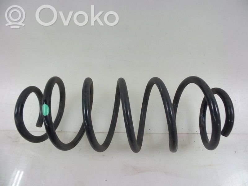 Rear coil spring
