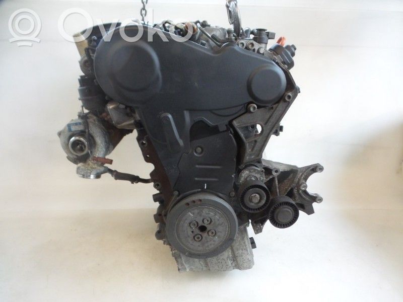 Motor