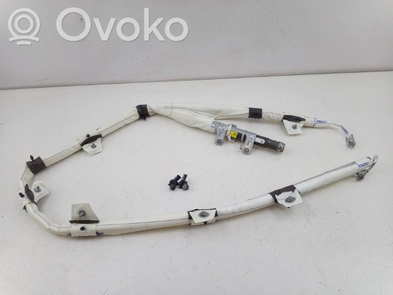 Tesla Model 3 Airbag del techo 