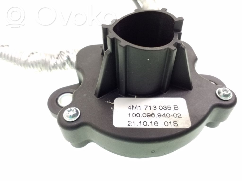 Kitas daviklis   4M1713035B