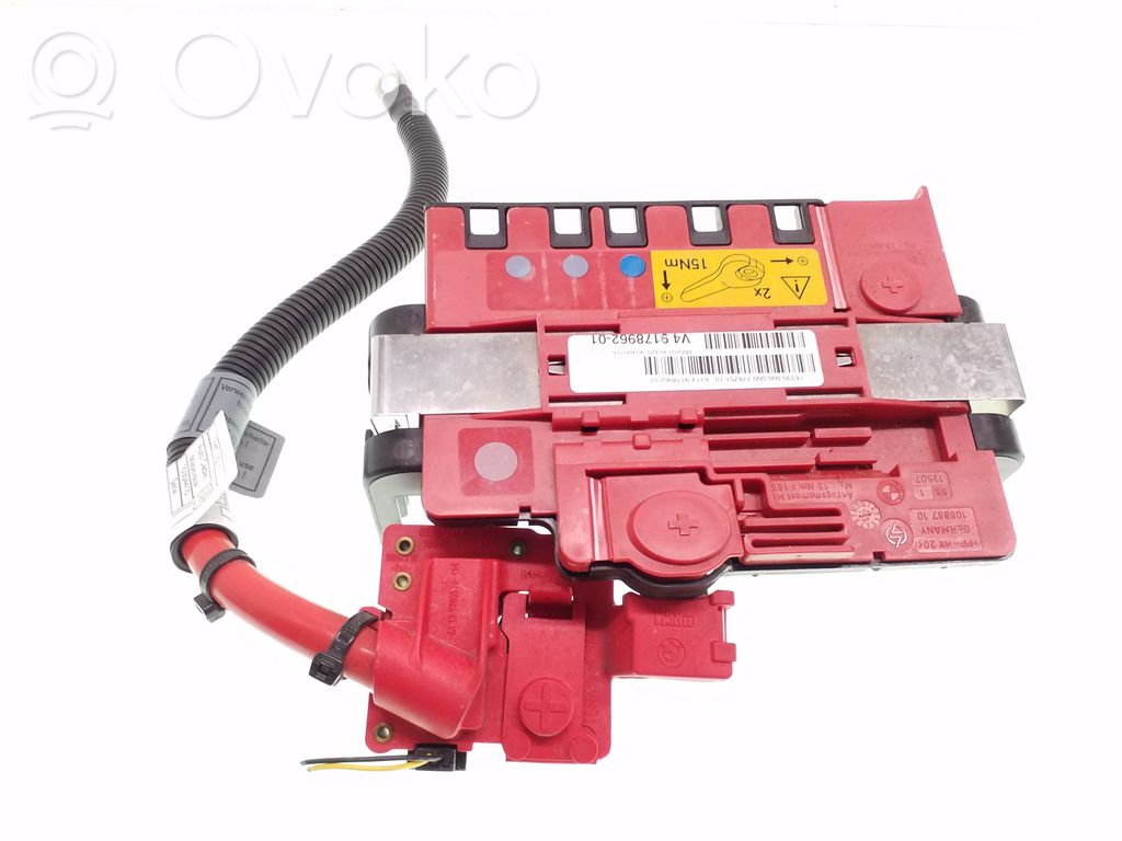 BMW X5 E70 Positive wiring loom 