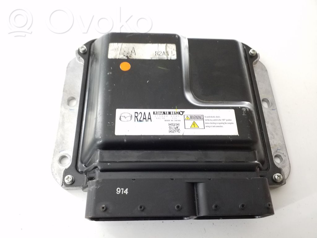 Engine control unit/module   R2AA18881,2758009145