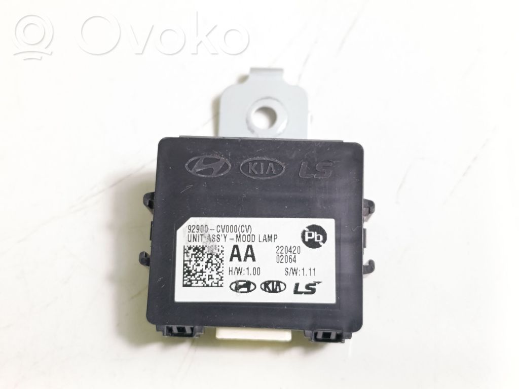 Module d'éclairage LCM   92900CV000