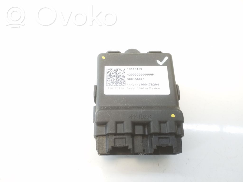 Other control units/modules   13516159