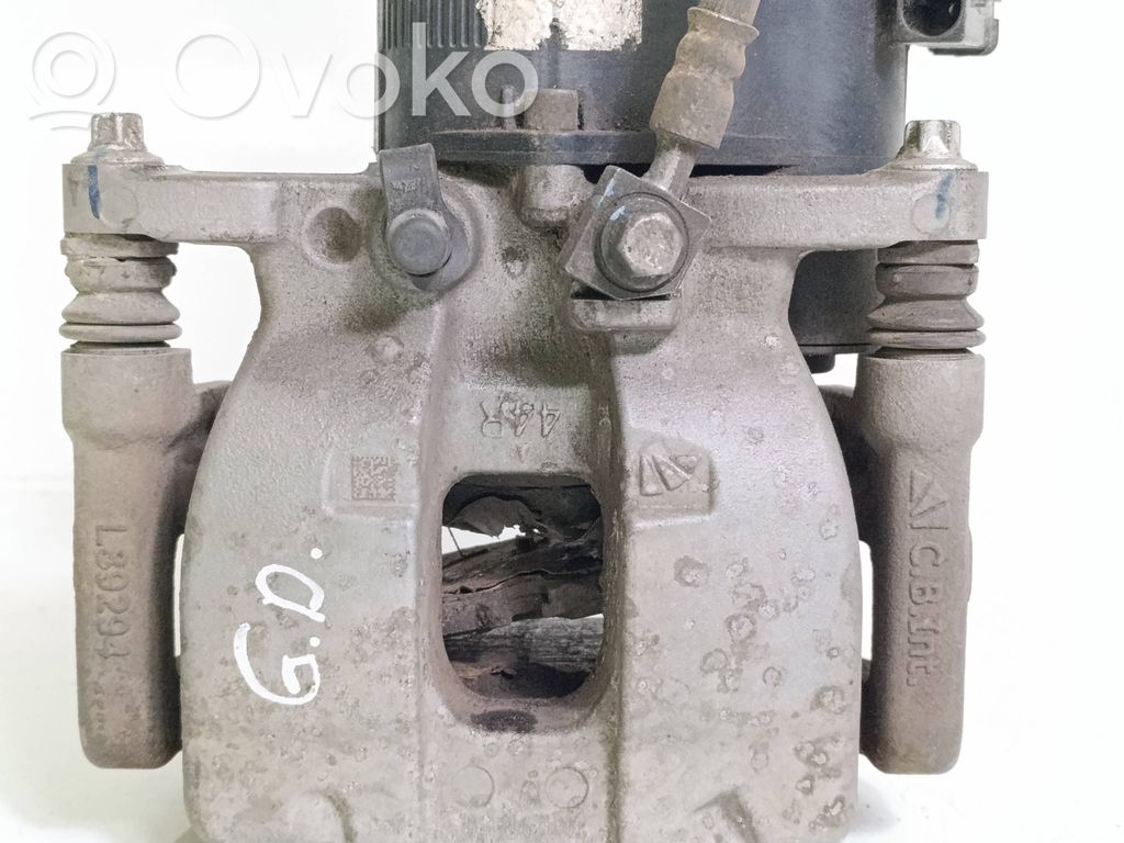 Takajarrusatula   L89294
