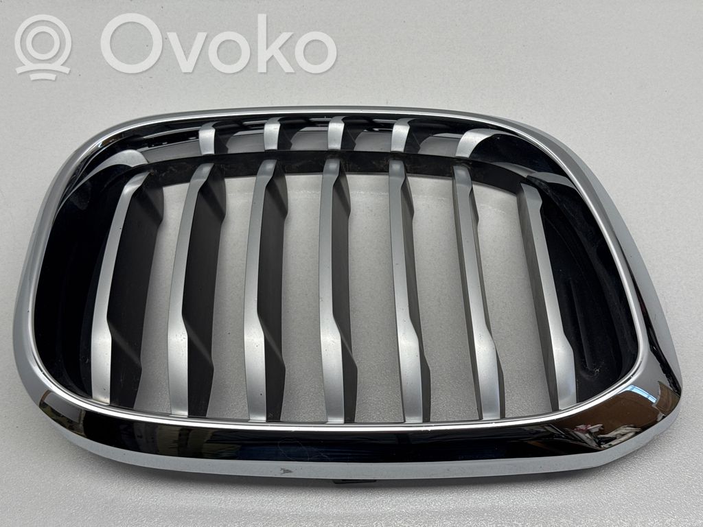 Front grill   19297610