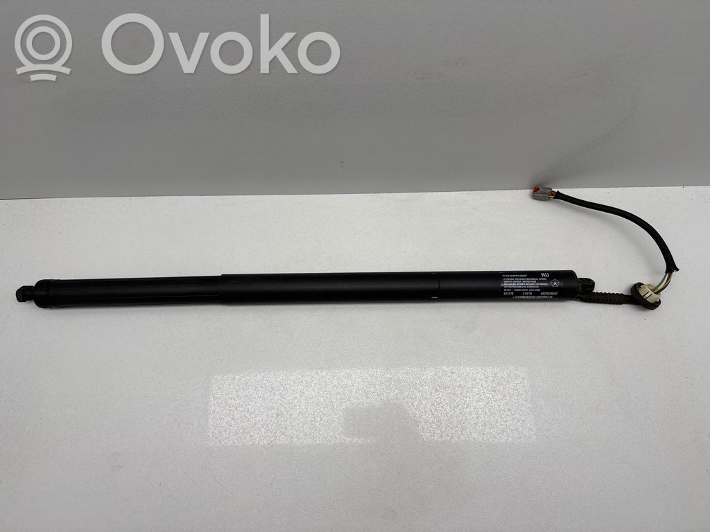 Chrysler Pacifica Tailgate/trunk/boot lift motor 