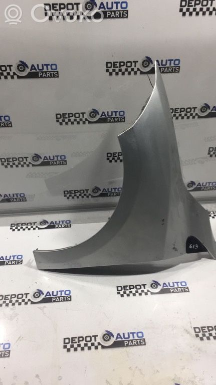 Renault Megane III Fender 