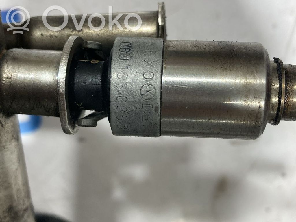 Inyector de combustible   06J133036B,CAWB