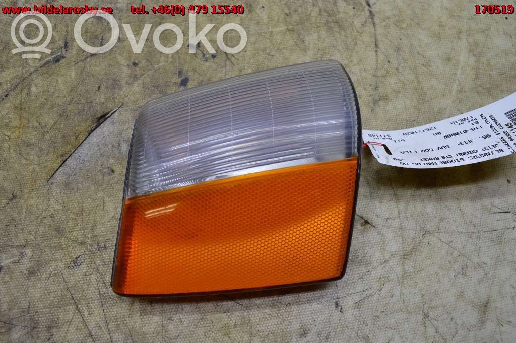 Seitenblinker   11601098R,56005490