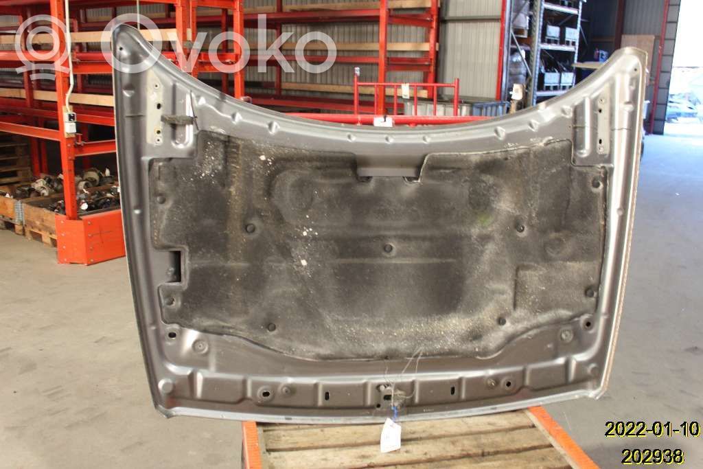 Motorhaube   11700314
