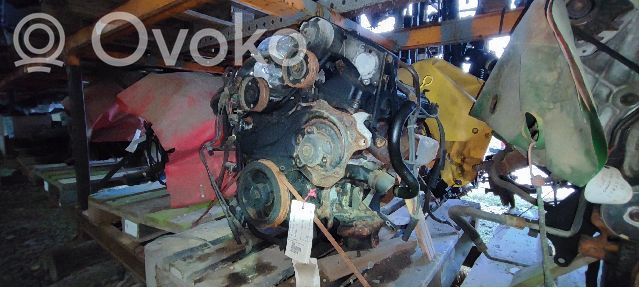 Motore   30006245