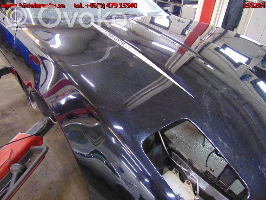 Engine bonnet/hood   11701262