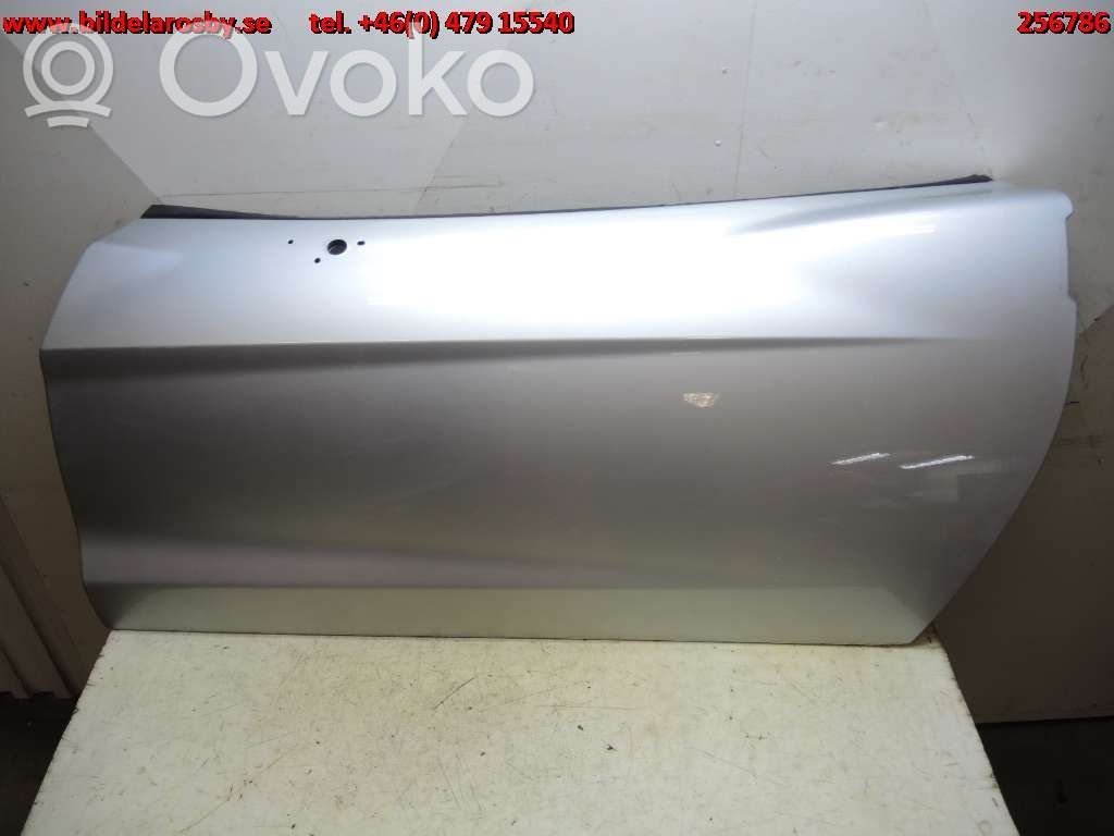 Durvis   12003173L