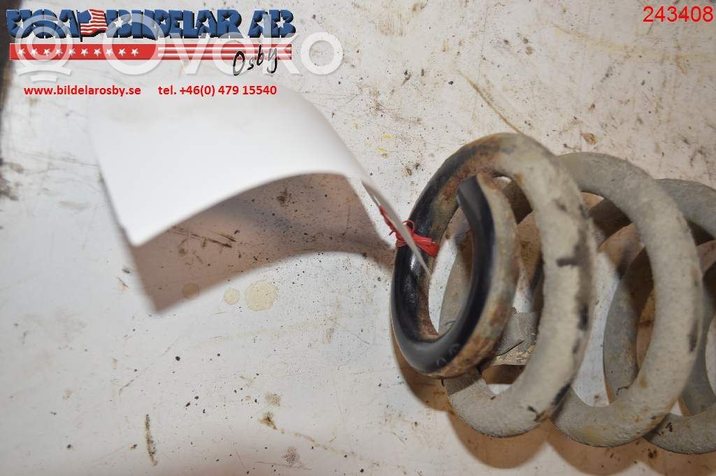 Rear coil spring   51700902