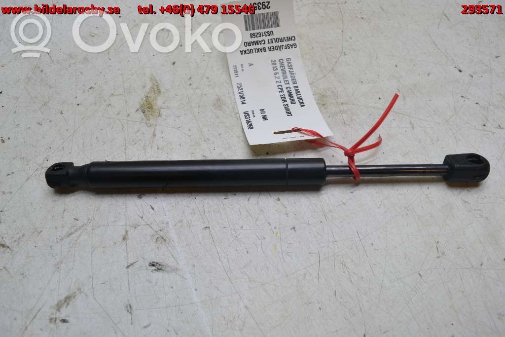 Tailgate strut   92235151