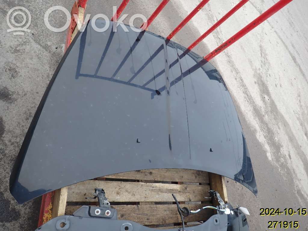 Engine bonnet/hood   11700318A