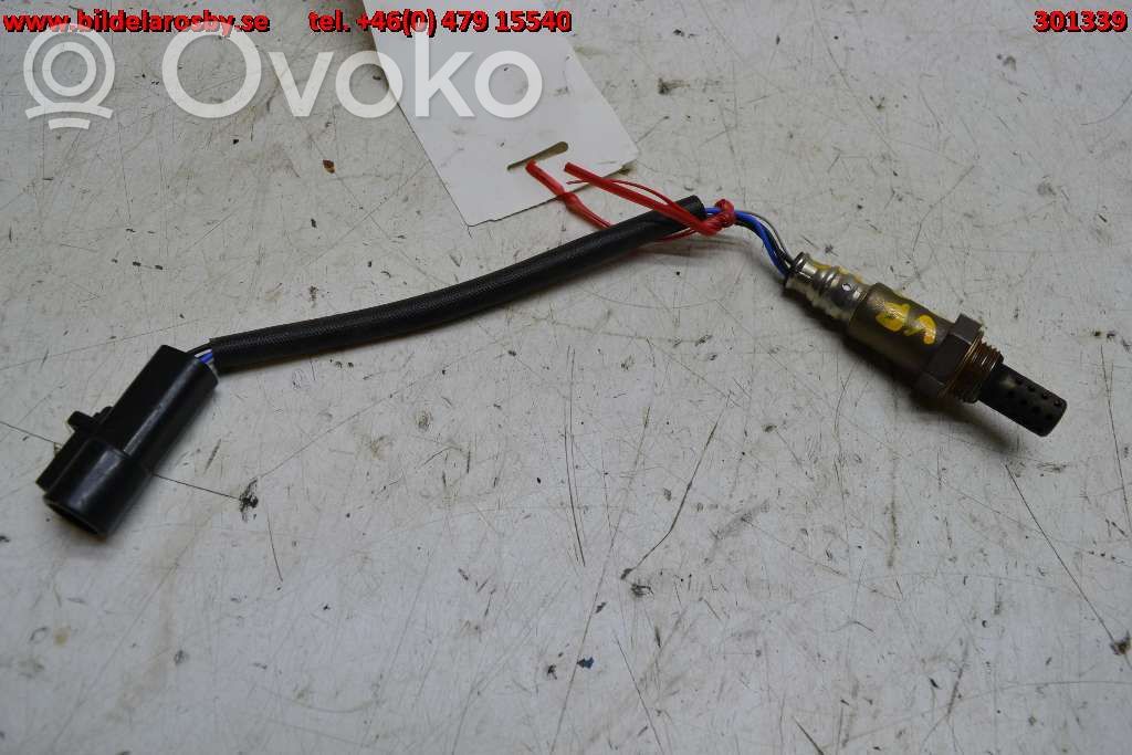 Lambda zondas   2593002U13
