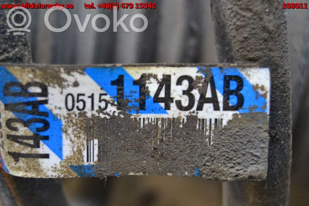 Dodge Journey Front shock absorber with coil spring 