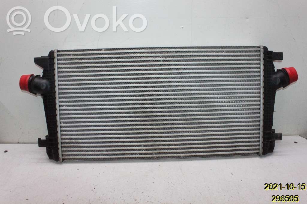 Interkūlerio radiatorius   13267647AA