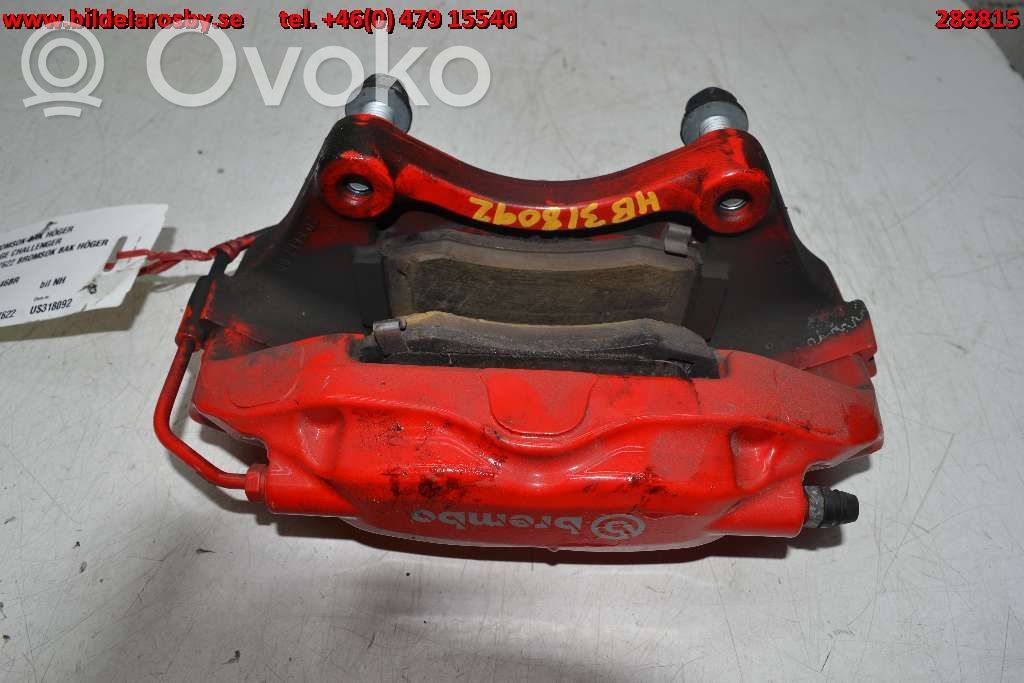 Galinis suportas   53600146BR