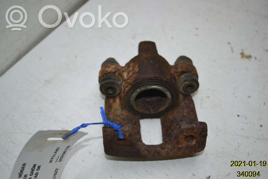Rear brake caliper   53601357R