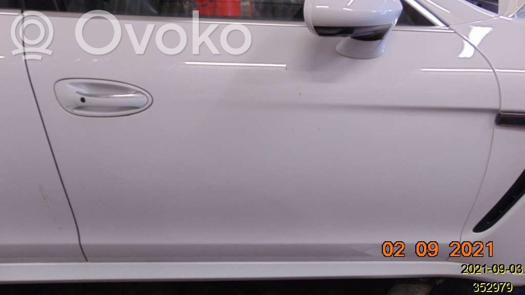 Дверь   12050610R