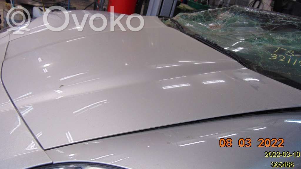 Chevrolet Corvette Engine bonnet/hood 