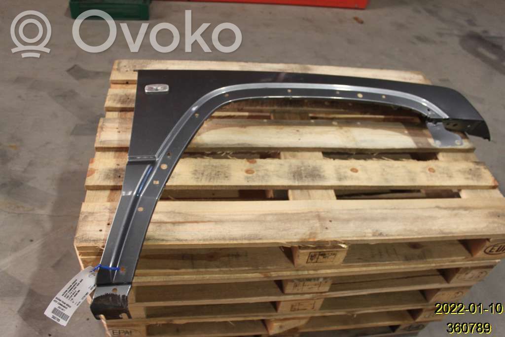 Błotnik przedni   11000607BR