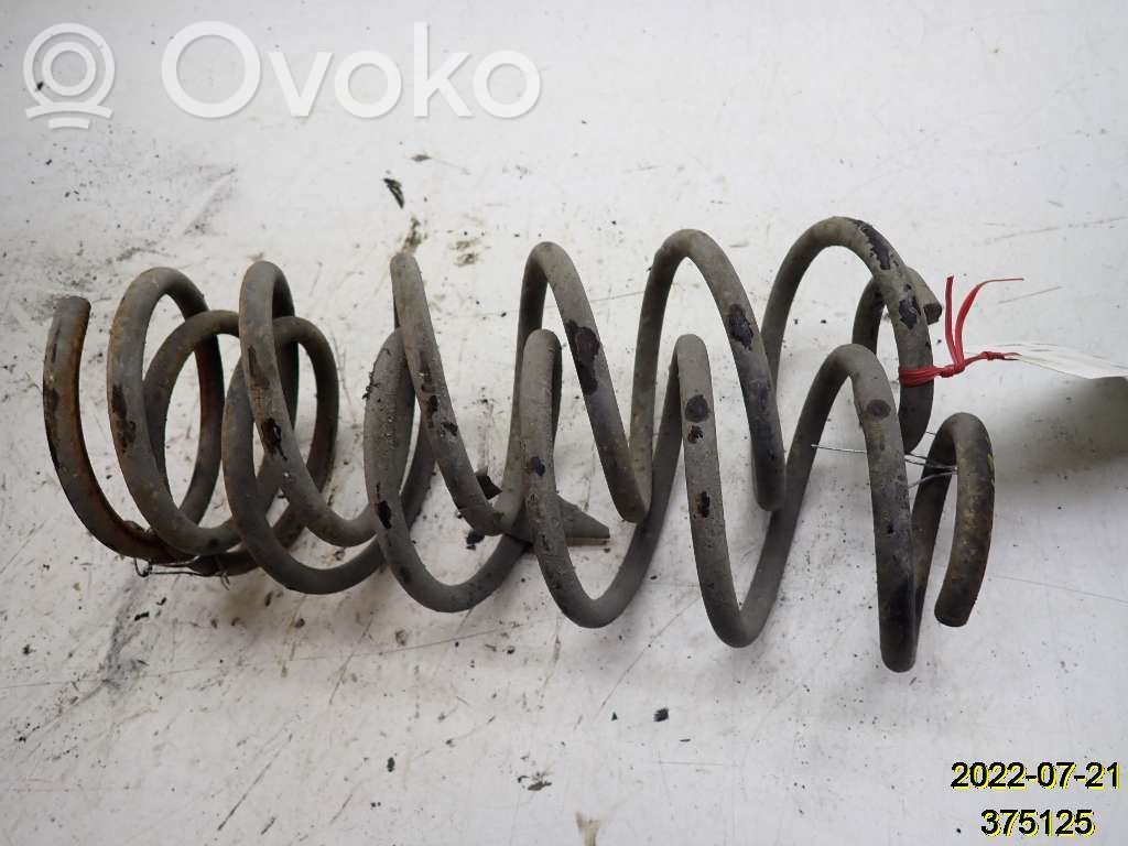 Rear coil spring   51700361