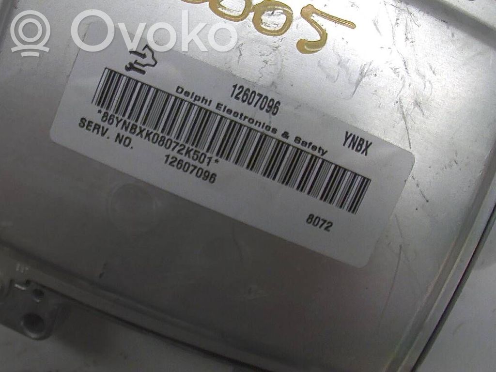 Chevrolet Uplander Injection control unit/module 