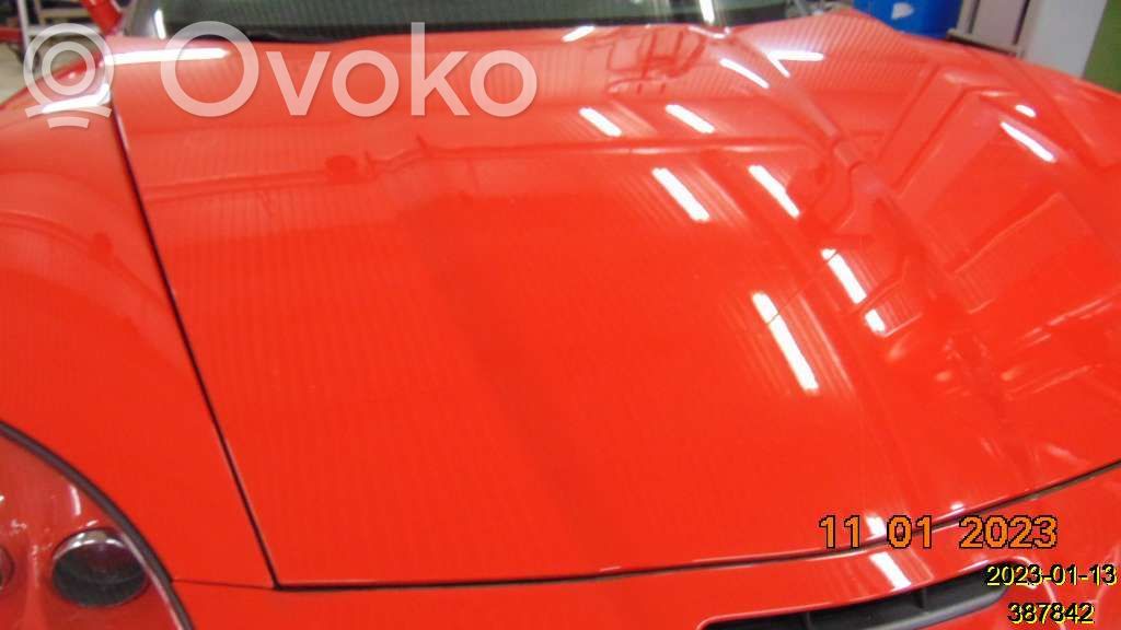 Engine bonnet/hood   11700403
