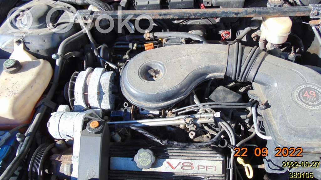 Engine   30006049
