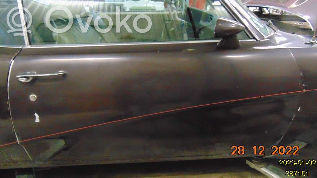 Puerta (Coupé 2 puertas)   12002162BR