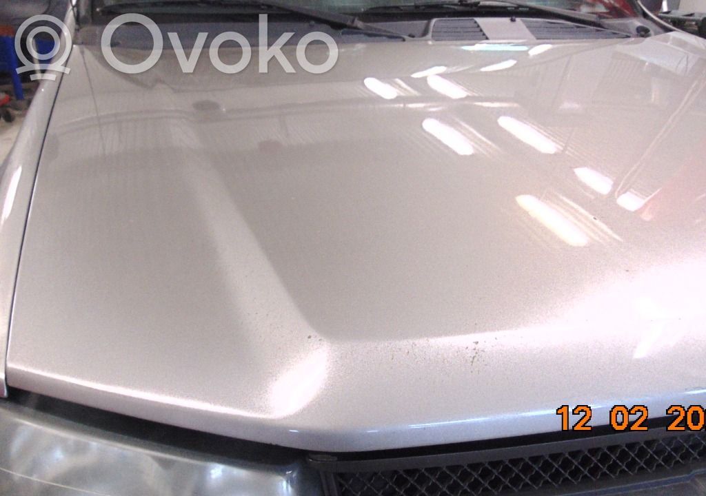 Dzinēja pārsegs (vāks)   11701595