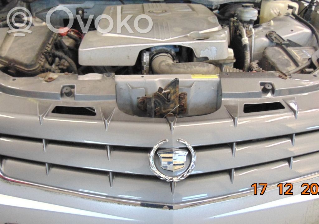Front bumper lower grill   10401823
