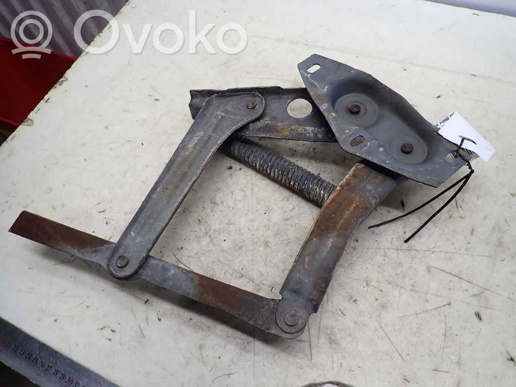 Vyris (-iai) variklio dangčio   11800269R