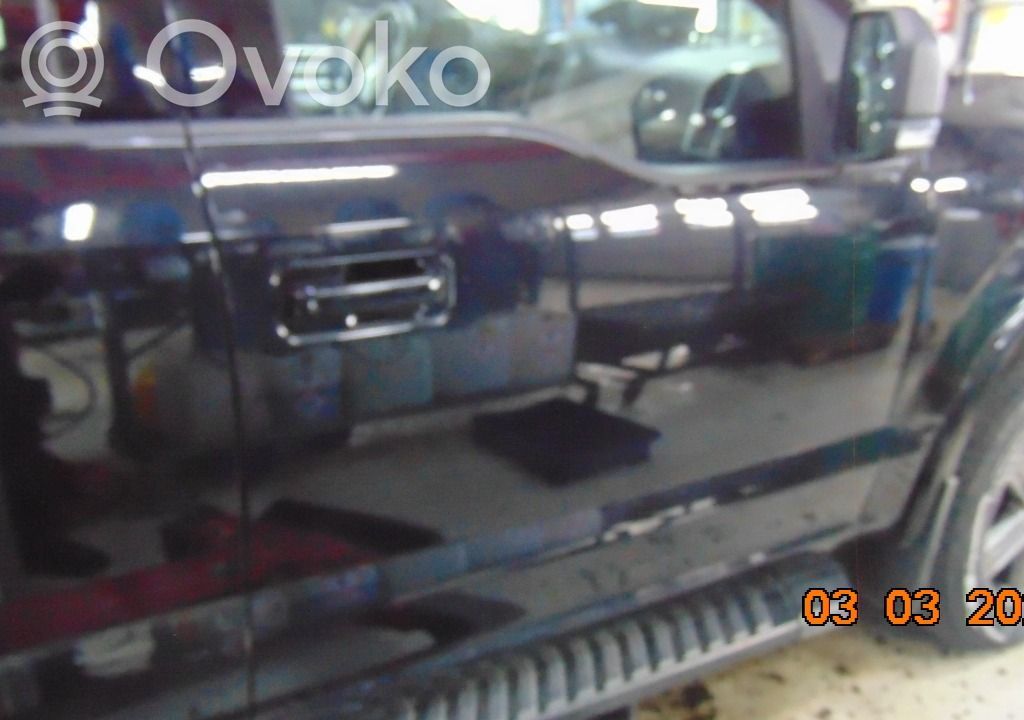 Ford F150 Durvis 