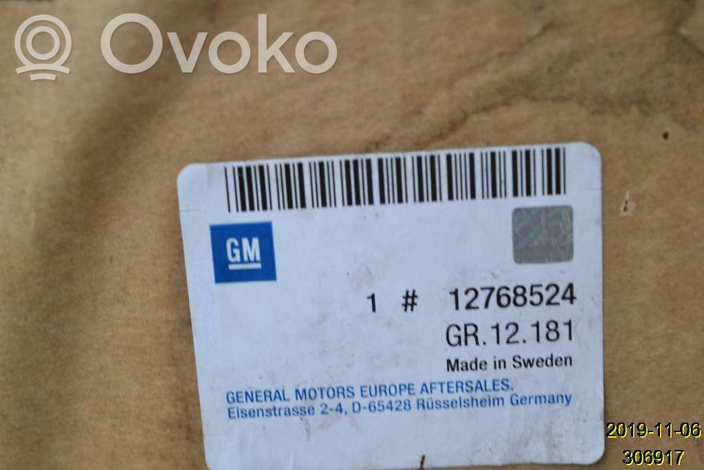 Cadillac BLS Puerta del maletero/compartimento de carga 