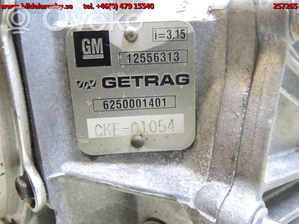 Rear differential   44001379B,12556313